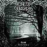 Aetherius Obscuritas - Viziok